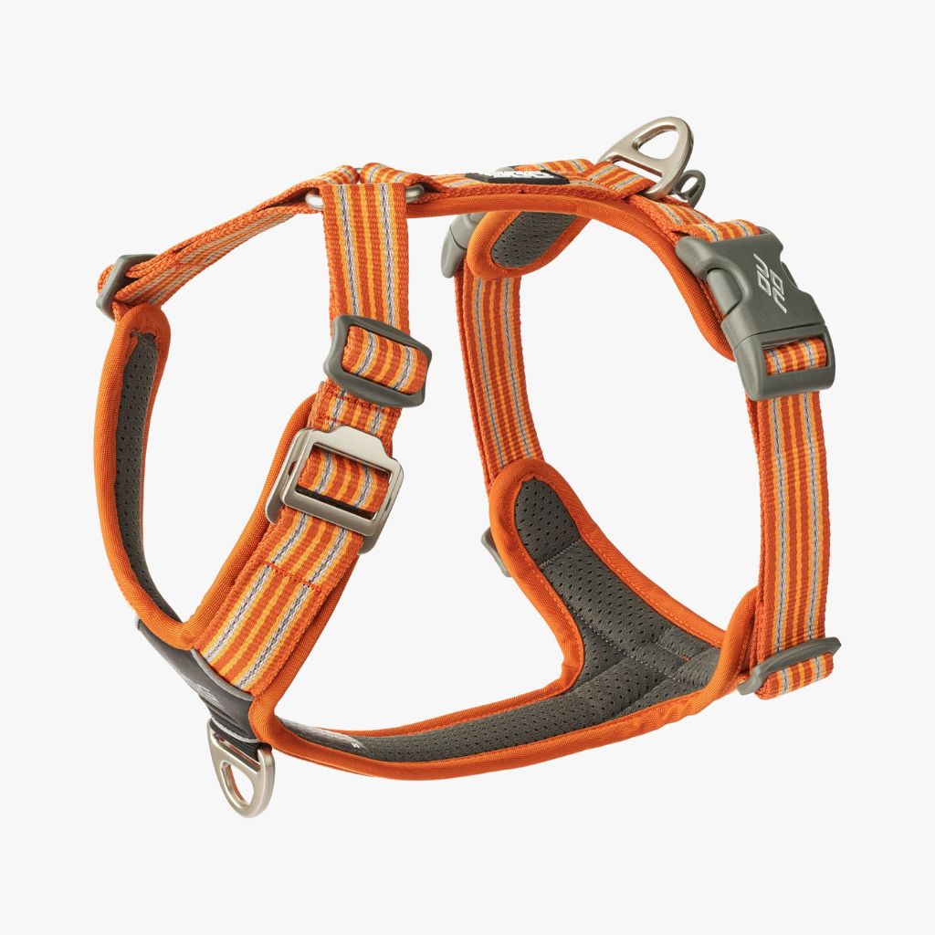 DOG copenhagen air harness orange sun