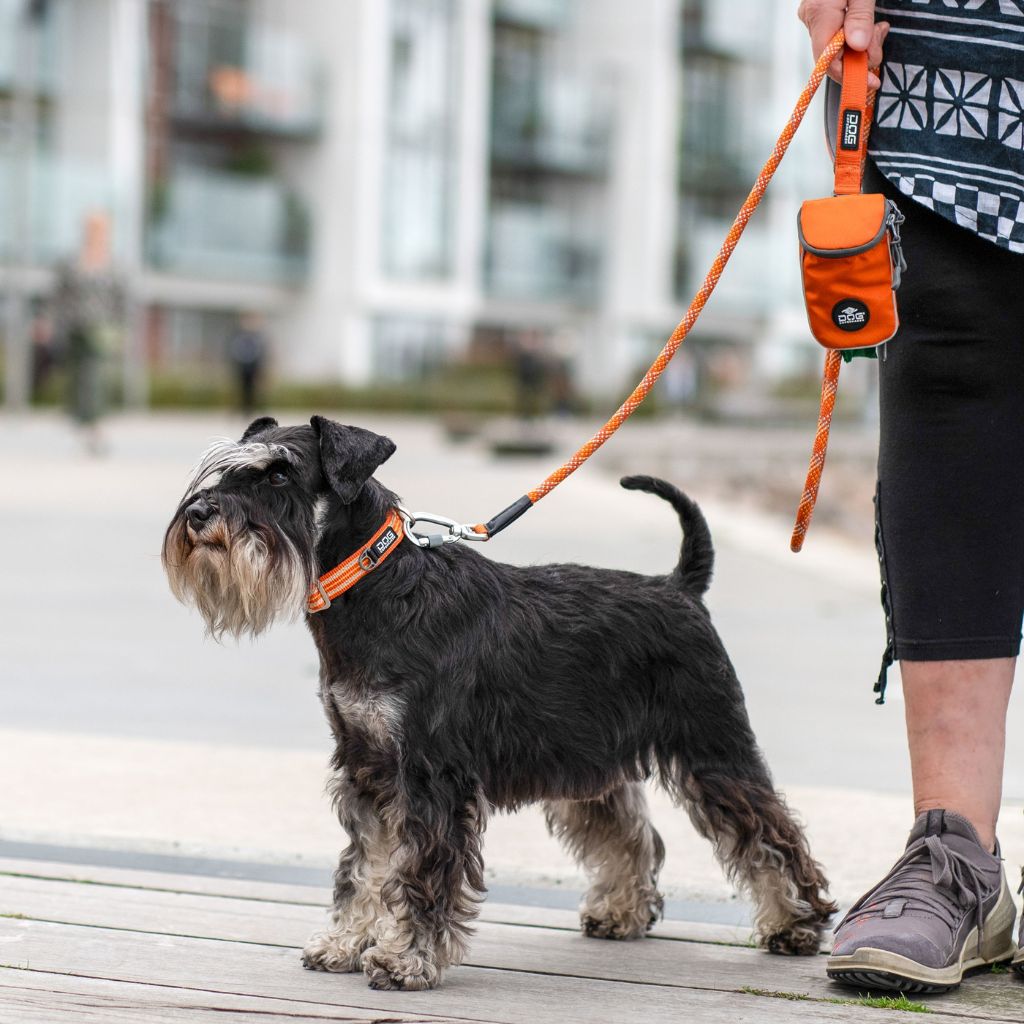 DOG Copenhagen Urban STYLE Collar - Image 15
