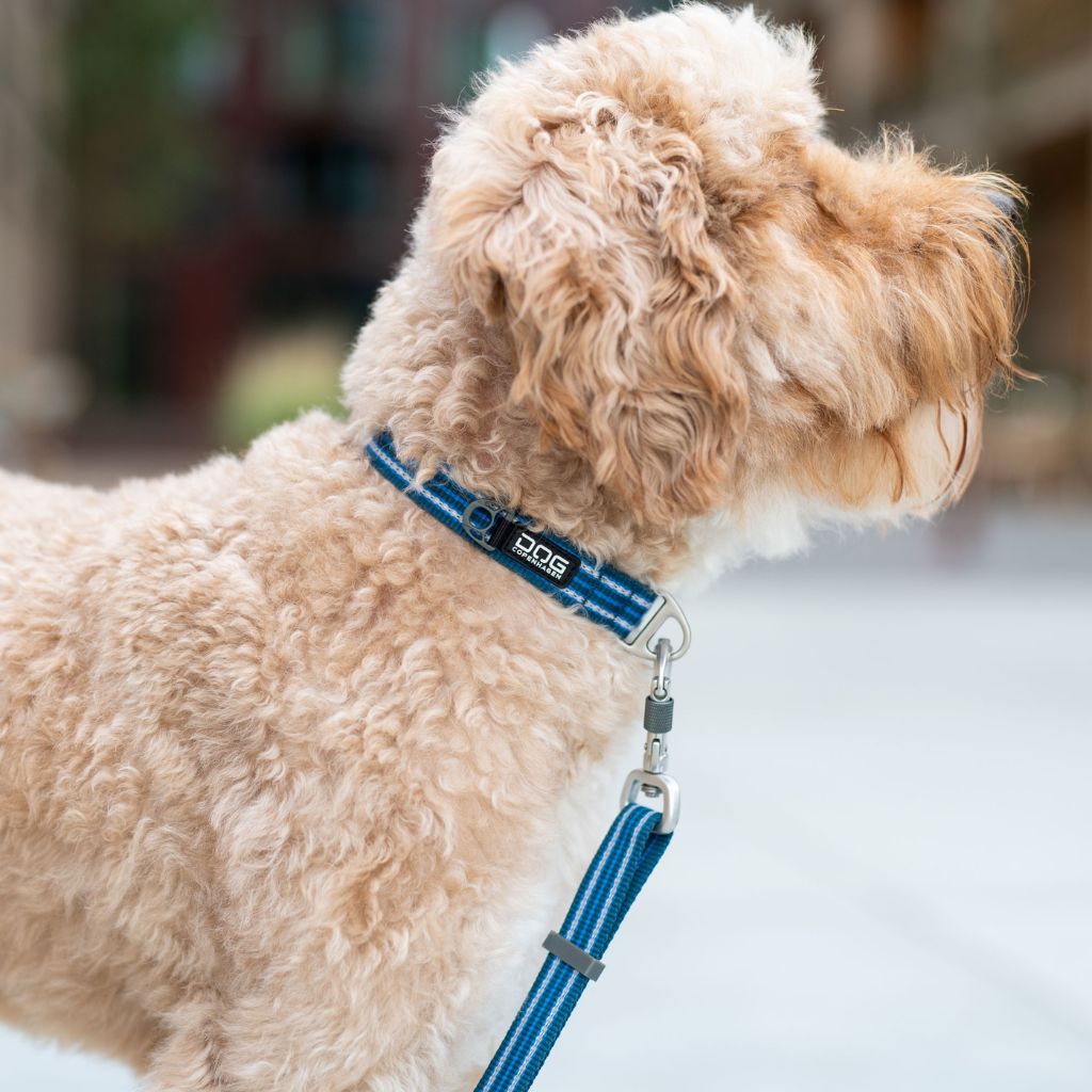 DOG copenhagen urban style collar