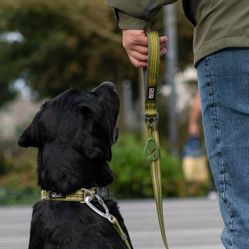 DOG Copenhagen Urban STYLE Collar - Image 18