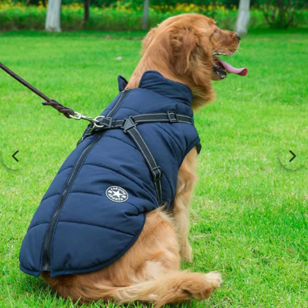 Drydogs Harness Dog Coat blue