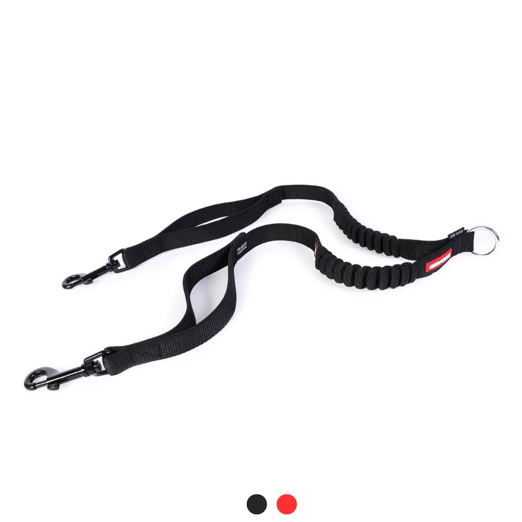 Ezydog zero shock coupler walk 2 dogs