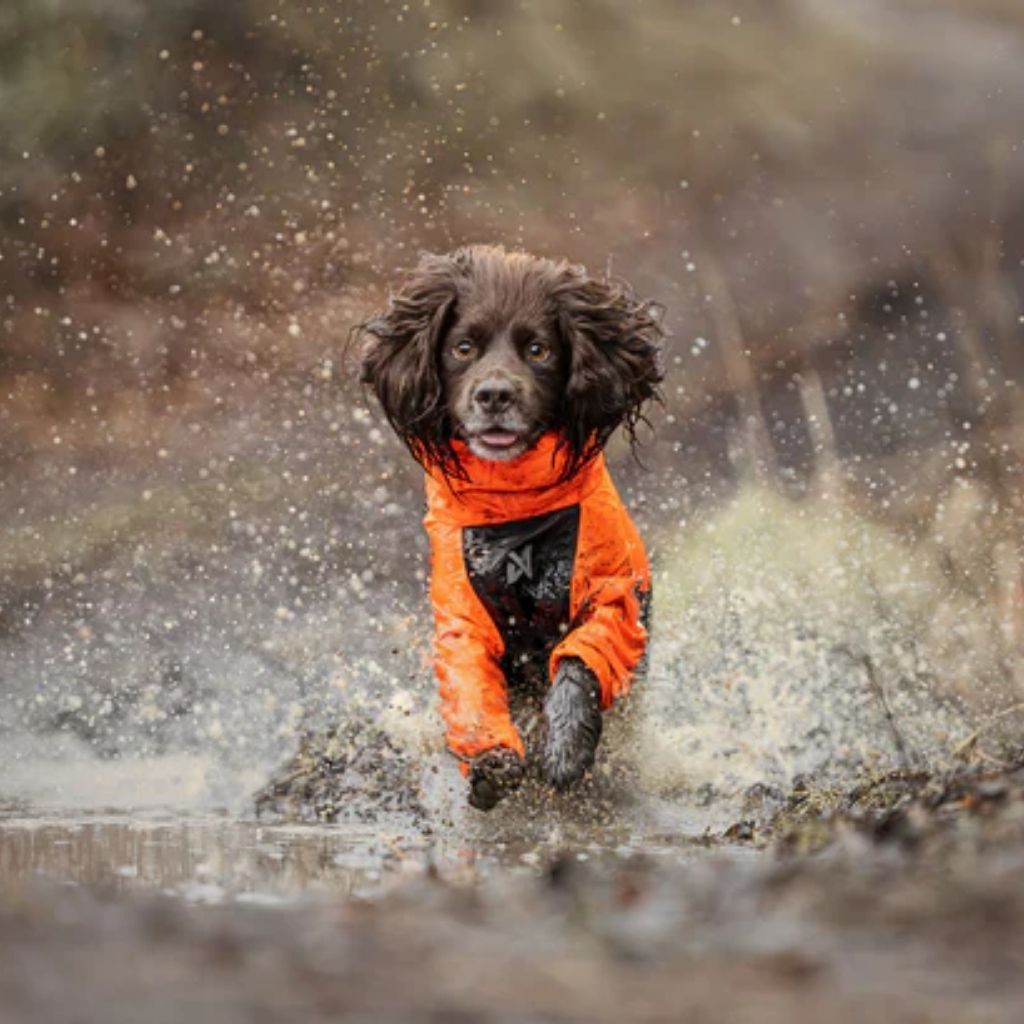 Fjord overall orange