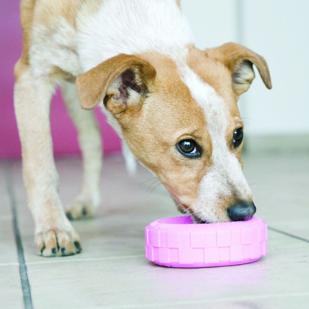 KONG | Puppy Tyres Dog Toy - Image 2