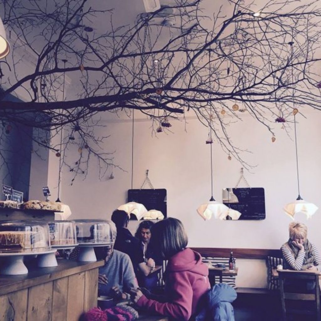 Merienda dog friendly cafe podgy paws keswick