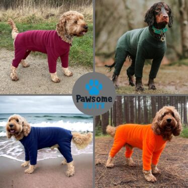 Pawsome suits