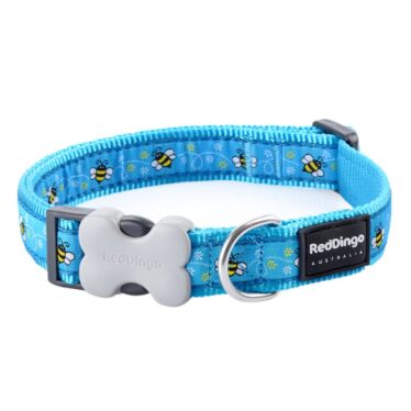 Red Dingo bee dog collar