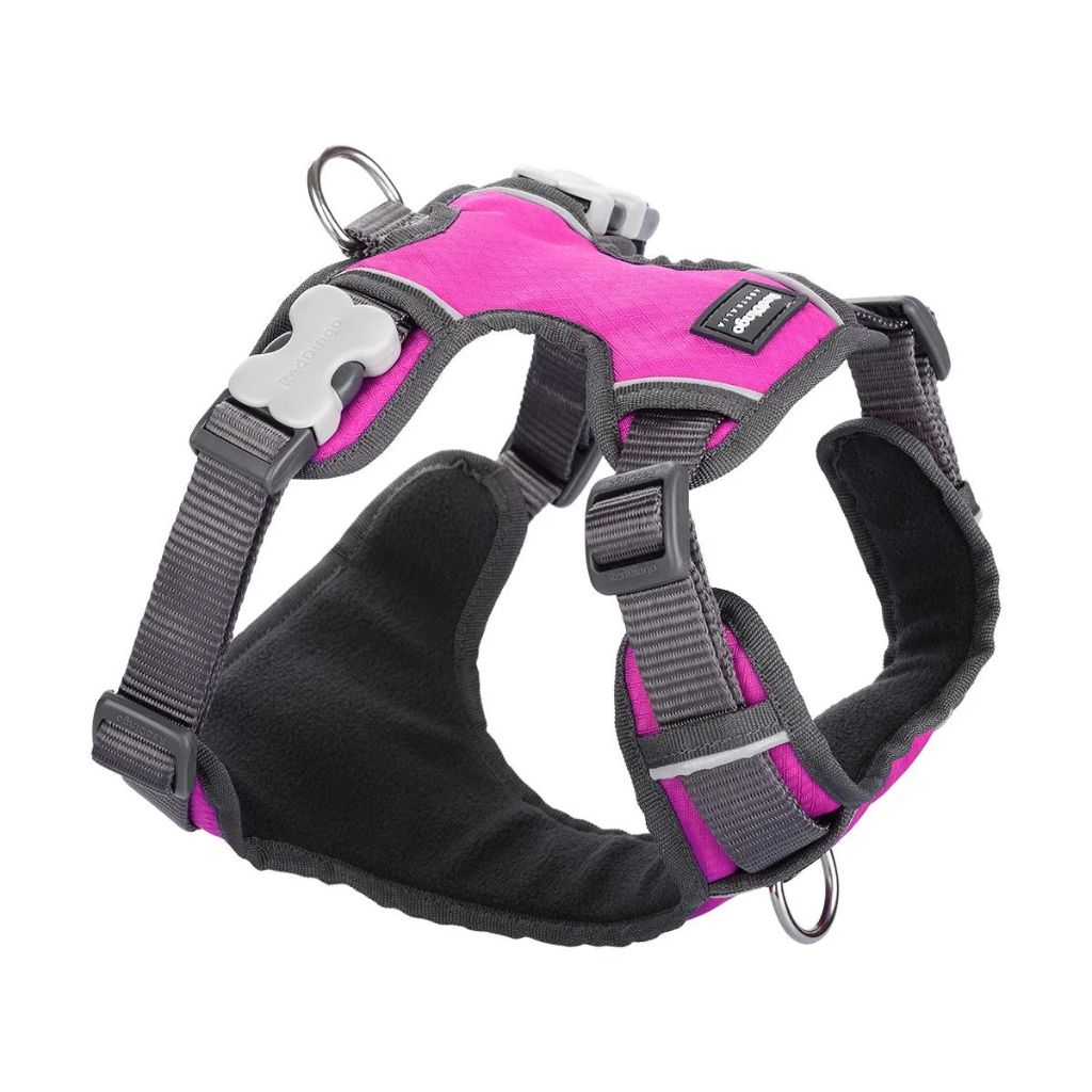 Red dingo harness Pink