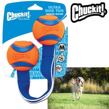 chuckit ultra duo tug dog toy