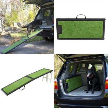 dog car ramp grass