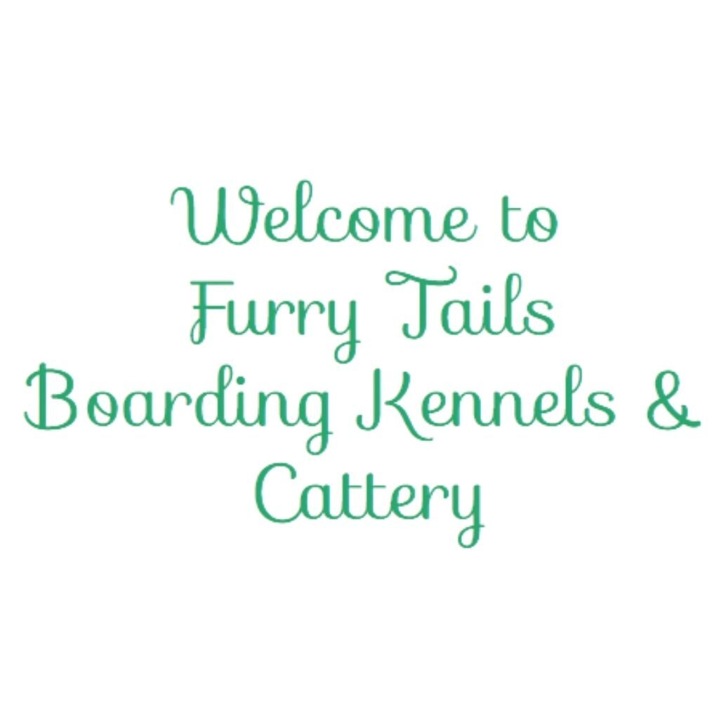 furry tails kennels