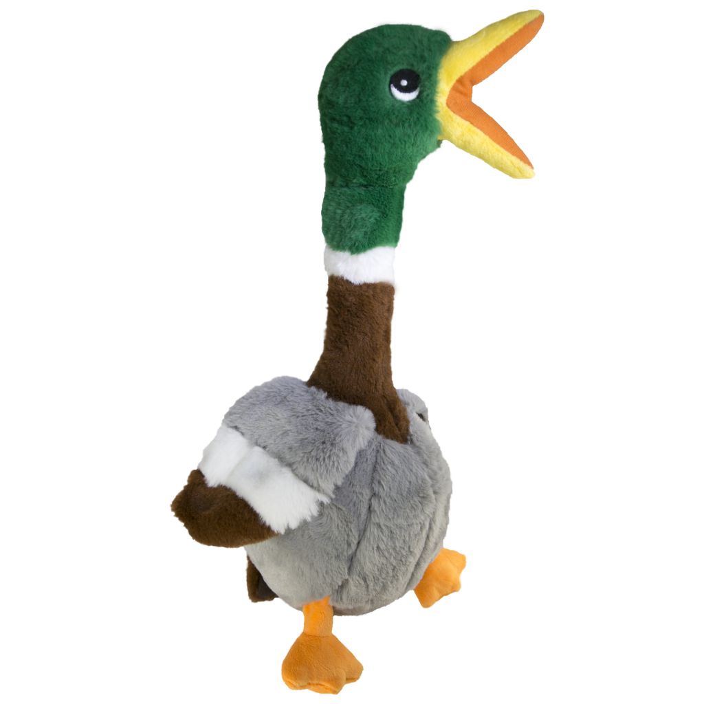 kong honkers duck dog toy
